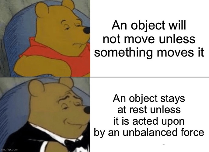 Fisiks | An object will not move unless something moves it; An object stays at rest unless it is acted upon by an unbalanced force | image tagged in memes,tuxedo winnie the pooh,physics | made w/ Imgflip meme maker