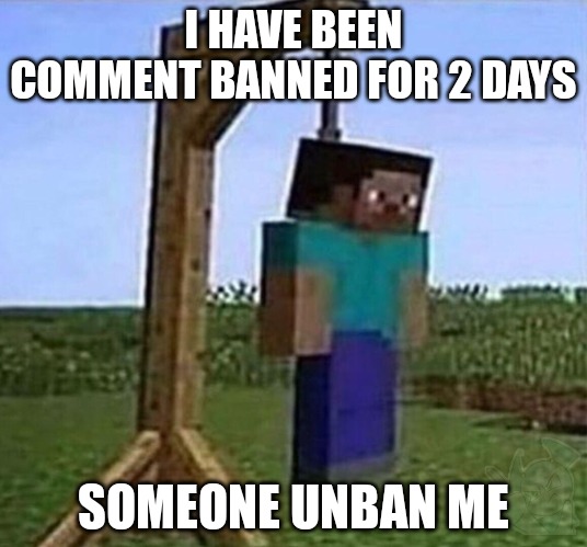 hang myself | I HAVE BEEN COMMENT BANNED FOR 2 DAYS; SOMEONE UNBAN ME | image tagged in hang myself | made w/ Imgflip meme maker