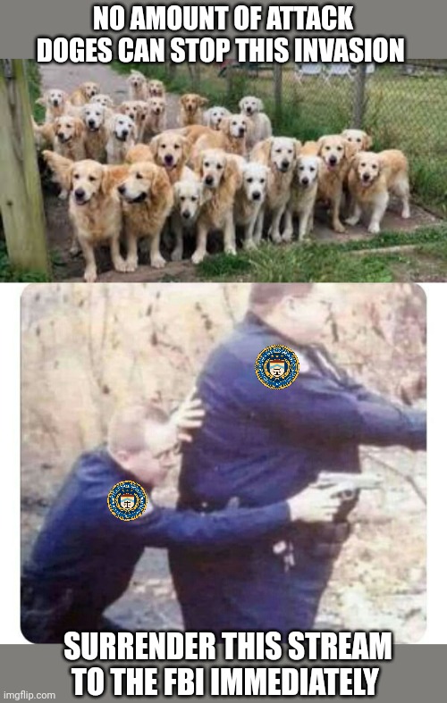 Surrender this criminal stream immediately | NO AMOUNT OF ATTACK DOGES CAN STOP THIS INVASION; SURRENDER THIS STREAM TO THE FBI IMMEDIATELY | image tagged in fbi,wheres your dog | made w/ Imgflip meme maker