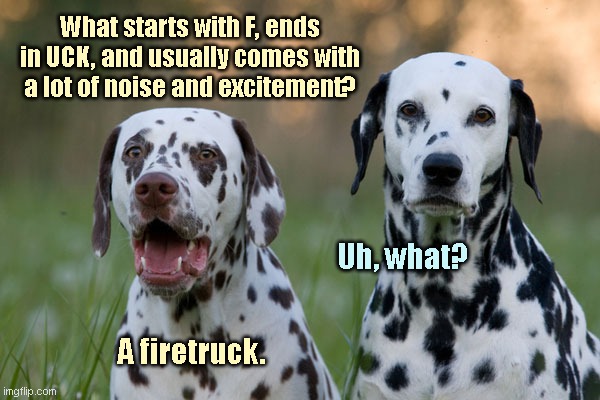 punny dalmatians | What starts with F, ends in UCK, and usually comes with a lot of noise and excitement? Uh, what? A firetruck. | image tagged in punny dalmatians,puns,dalmatian dogs,humor,cute animals | made w/ Imgflip meme maker
