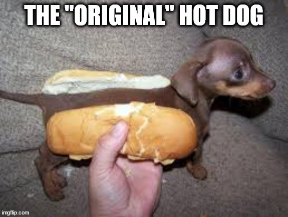 THE ORIGINAL HOTDOG | image tagged in funny | made w/ Imgflip meme maker