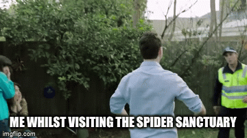 Spiders must seriously hate me | ME WHILST VISITING THE SPIDER SANCTUARY | image tagged in gifs,spider | made w/ Imgflip video-to-gif maker