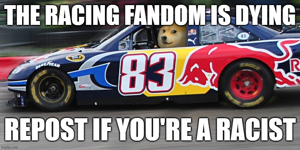 Race car doge  | THE RACING FANDOM IS DYING; REPOST IF YOU'RE A RACIST | image tagged in race car doge | made w/ Imgflip meme maker