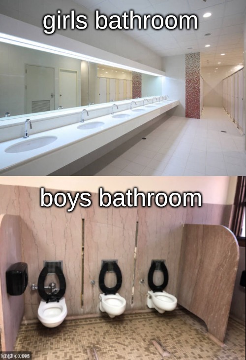 absolutely true | girls bathroom; boys bathroom | image tagged in fact | made w/ Imgflip meme maker