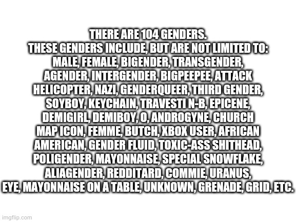 Finna about to piss some people off | THERE ARE 104 GENDERS. THESE GENDERS INCLUDE, BUT ARE NOT LIMITED TO:
MALE, FEMALE, BIGENDER, TRANSGENDER, AGENDER, INTERGENDER, BIGPEEPEE, ATTACK HELICOPTER, NАZI, GENDERQUEER, THIRD GENDER, SOYBOY, KEYCHAIN, TRAVESTI N-B, EPICENE, DEMIGIRL, DEMIBOY, O, ANDROGYNE, CHURCH MAP ICON, FEMME, BUTCH, XBOX USER, AFRICAN AMERICAN, GENDER FLUID, TOXIC-ASS SHITHEAD, POLIGENDER, MAYONNAISE, SPECIAL SNOWFLAKE, ALIAGENDER, REDDITARD, COMMIE, URANUS, EYE, MAYONNAISE ON A TABLE, UNKNOWN, GRENADE, GRID, ETC. | image tagged in blank white template | made w/ Imgflip meme maker