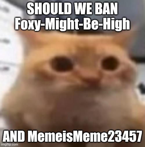 spoingus | SHOULD WE BAN Foxy-Might-Be-High; AND MemeisMeme23457 | image tagged in spoingus | made w/ Imgflip meme maker