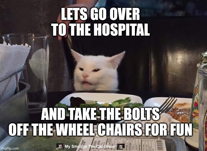 LETS GO OVER TO THE HOSPITAL; AND TAKE THE BOLTS OFF THE WHEEL CHAIRS FOR FUN | image tagged in smudge the cat | made w/ Imgflip meme maker