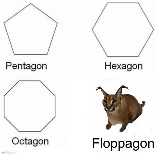 Pentagon Hexagon Octagon | Floppagon | image tagged in memes,pentagon hexagon octagon | made w/ Imgflip meme maker