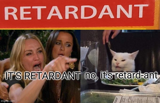 Woman Yelling At Cat Meme | no, it's retard-ant; IT'S RETARDANT | image tagged in memes,woman yelling at cat | made w/ Imgflip meme maker