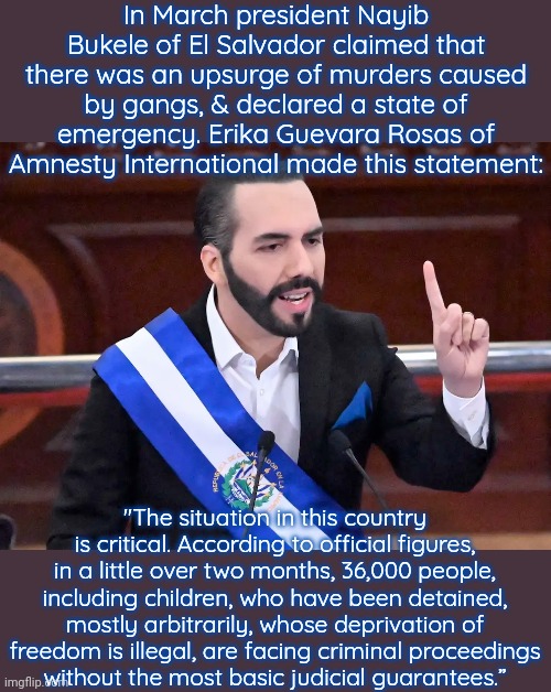 So far 18 people have died in custody. | In March president Nayib Bukele of El Salvador claimed that there was an upsurge of murders caused by gangs, & declared a state of emergency. Erika Guevara Rosas of Amnesty International made this statement:; "The situation in this country is critical. According to official figures, in a little over two months, 36,000 people, including children, who have been detained, mostly arbitrarily, whose deprivation of freedom is illegal, are facing criminal proceedings
without the most basic judicial guarantees.” | image tagged in nayib bukele,police state,human rights | made w/ Imgflip meme maker