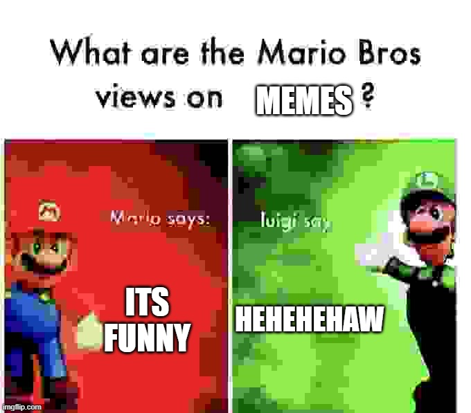 Mario Bros Views | MEMES; ITS FUNNY; HEHEHEHAW | image tagged in mario bros views | made w/ Imgflip meme maker