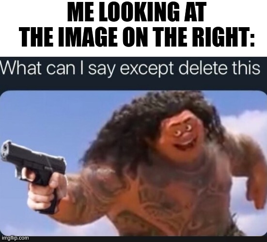 ME LOOKING AT THE IMAGE ON THE RIGHT: | image tagged in blank white template,what can i say except delete this | made w/ Imgflip meme maker