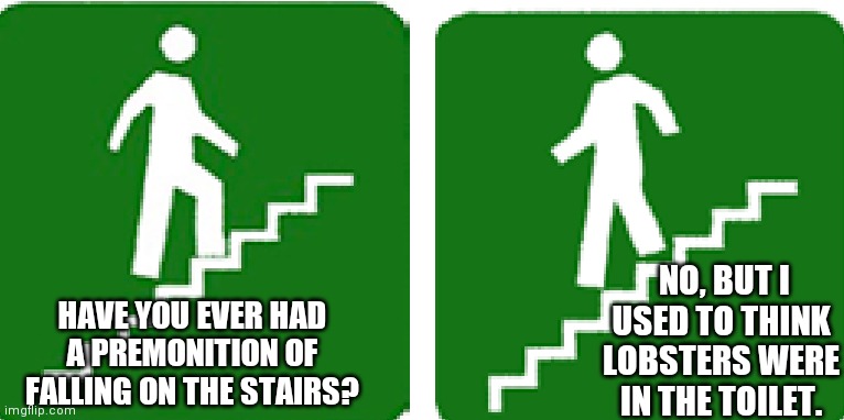 Random Thoughts Will Kill You | NO, BUT I USED TO THINK LOBSTERS WERE IN THE TOILET. HAVE YOU EVER HAD A PREMONITION OF FALLING ON THE STAIRS? | image tagged in gravity,brittle,pay attention,what,oooooppphh | made w/ Imgflip meme maker