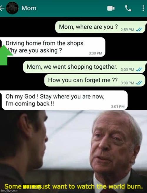 MOTHERS | image tagged in some men just want to watch the world burn | made w/ Imgflip meme maker