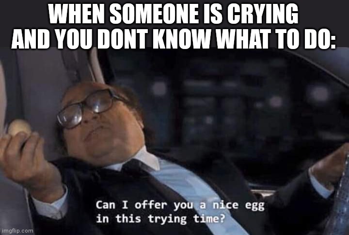 Can I offer you a nice egg in this trying time? | WHEN SOMEONE IS CRYING AND YOU DONT KNOW WHAT TO DO: | image tagged in can i offer you a nice egg in this trying time,meme,funny,memes | made w/ Imgflip meme maker