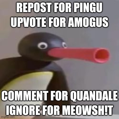 NOOT NOOT | UPVOTE FOR AMOGUS; REPOST FOR PINGU; COMMENT FOR QUANDALE; IGNORE FOR MEOWSH!T | image tagged in noot noot,quandale dingle,amogus,meowshit | made w/ Imgflip meme maker