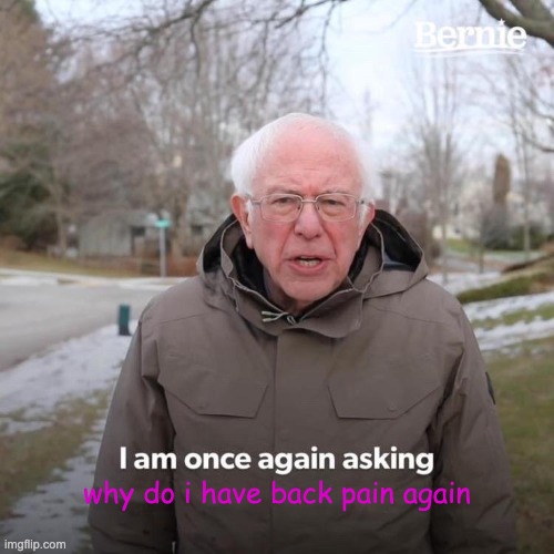Bernie I Am Once Again Asking For Your Support | why do i have back pain again | image tagged in memes,bernie i am once again asking for your support | made w/ Imgflip meme maker