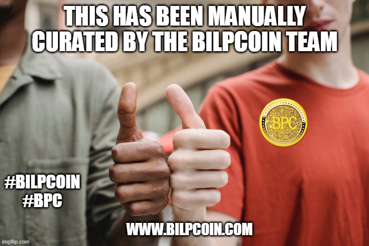  THIS HAS BEEN MANUALLY CURATED BY THE BILPCOIN TEAM; #BILPCOIN

#BPC; WWW.BILPCOIN.COM | made w/ Imgflip meme maker