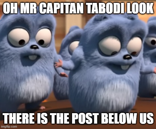 Look at the post below this meme | OH MR CAPITAN TABODI LOOK; THERE IS THE POST BELOW US | image tagged in oh mr capitan tabodi look | made w/ Imgflip meme maker
