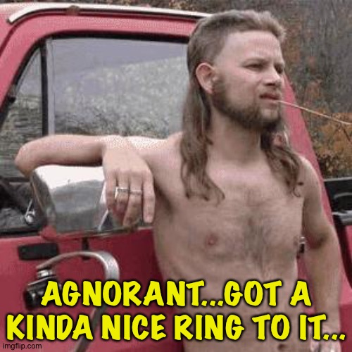 almost redneck | AGNORANT...GOT A KINDA NICE RING TO IT... | image tagged in almost redneck | made w/ Imgflip meme maker