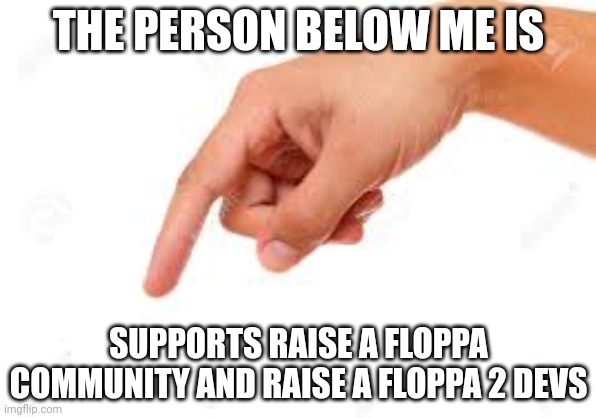 the person below | THE PERSON BELOW ME IS; SUPPORTS RAISE A FLOPPA COMMUNITY AND RAISE A FLOPPA 2 DEVS | image tagged in the person below | made w/ Imgflip meme maker
