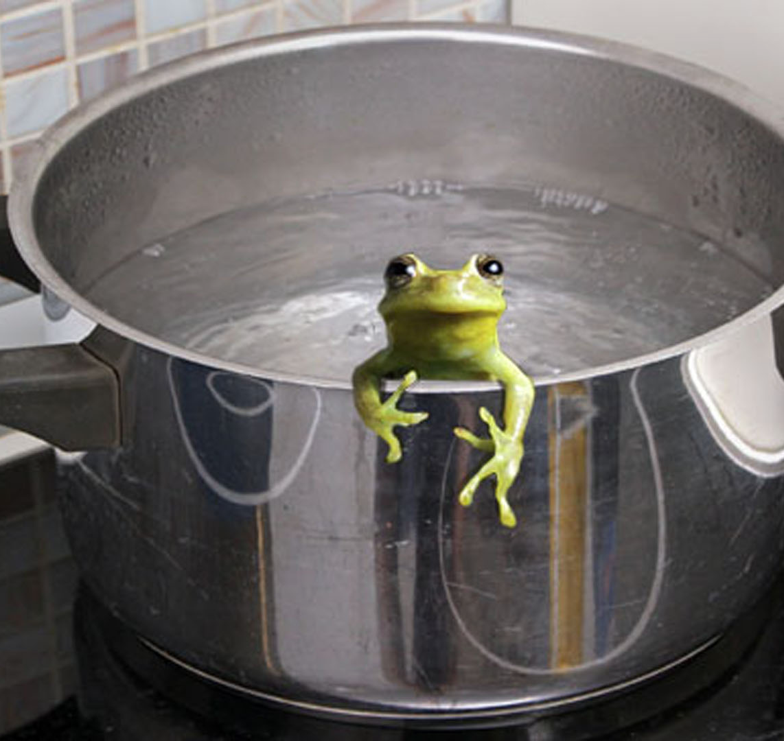 Frog in pot boiling water Blank Meme Template