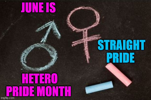 JUNE IS; STRAIGHT PRIDE; HETERO PRIDE MONTH | image tagged in straight pride | made w/ Imgflip meme maker