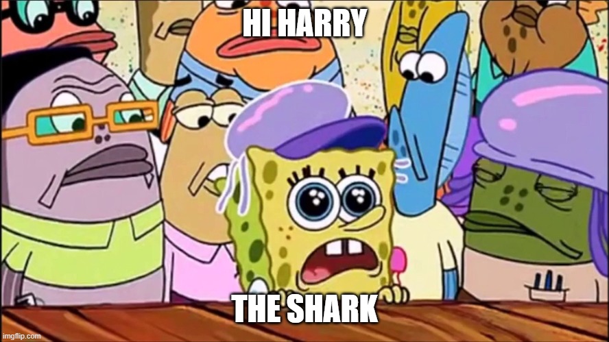 Hi Kevin | HI HARRY THE SHARK | image tagged in hi kevin | made w/ Imgflip meme maker