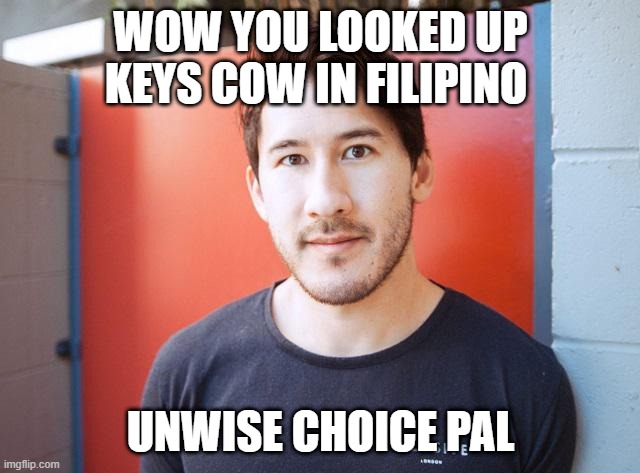 Bruh Reaction | WOW YOU LOOKED UP KEYS COW IN FILIPINO; UNWISE CHOICE PAL | image tagged in bruh reaction | made w/ Imgflip meme maker