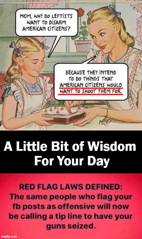 Precisely why the words "Shall Not Be Infringed" are paramount . . . |  A Little Bit of Wisdom 
For Your Day | image tagged in politics,guns,second amendment,shall not be infringed,americans,freedom | made w/ Imgflip meme maker