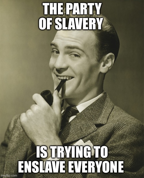 Smug | THE PARTY OF SLAVERY IS TRYING TO ENSLAVE EVERYONE | image tagged in smug | made w/ Imgflip meme maker