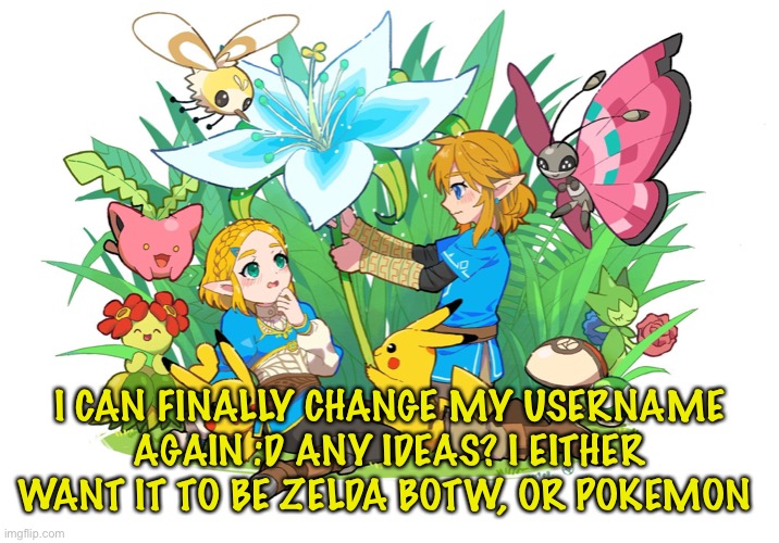 :] | I CAN FINALLY CHANGE MY USERNAME AGAIN :D ANY IDEAS? I EITHER WANT IT TO BE ZELDA BOTW, OR POKEMON | image tagged in ayooo,new username,hail yeah | made w/ Imgflip meme maker