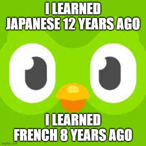 Thanks, duo. I haven't missed yet. | I LEARNED JAPANESE 12 YEARS AGO; I LEARNED FRENCH 8 YEARS AGO | image tagged in duolingo | made w/ Imgflip meme maker