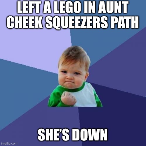 Success Kid |  LEFT A LEGO IN AUNT CHEEK SQUEEZERS PATH; SHE’S DOWN | image tagged in memes,success kid | made w/ Imgflip meme maker