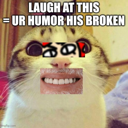 Smiling Cat Meme | LAUGH AT THIS = UR HUMOR HIS BROKEN | image tagged in memes,smiling cat | made w/ Imgflip meme maker