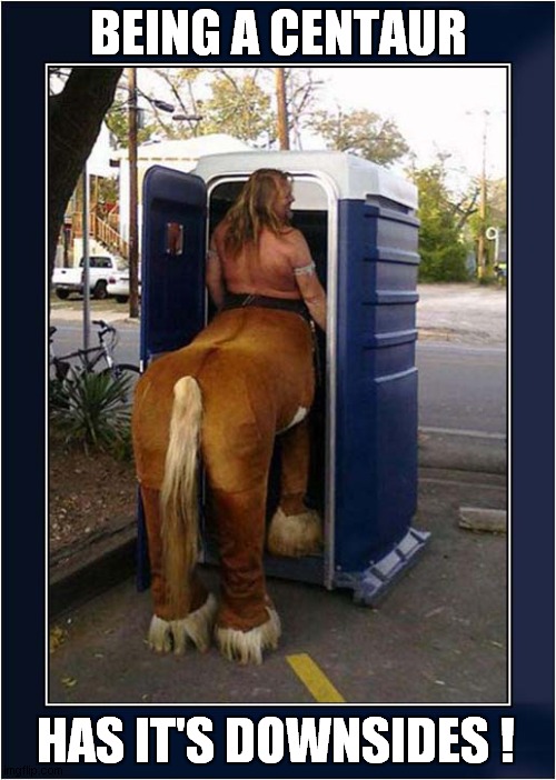 Portaloo Blues ! | BEING A CENTAUR; HAS IT'S DOWNSIDES ! | image tagged in centaur,toilet,blues,portaloo | made w/ Imgflip meme maker