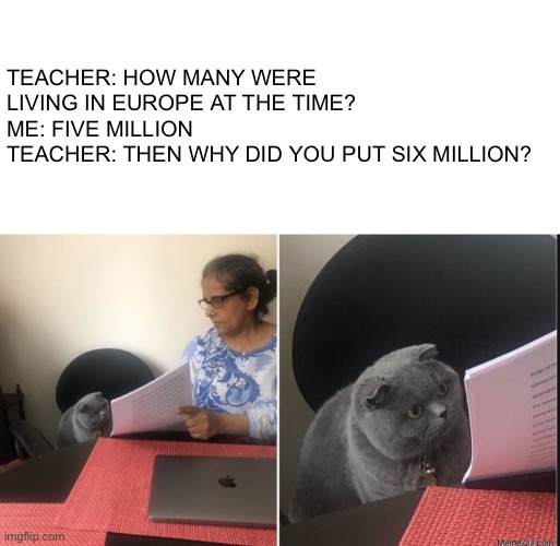 It would've been more expensive to capture and import enough to make up the numbers claimed. |  TEACHER: HOW MANY WERE LIVING IN EUROPE AT THE TIME?
ME: FIVE MILLION
TEACHER: THEN WHY DID YOU PUT SIX MILLION? | image tagged in then why did you write,history,expectation vs reality,simple explanation professor,well then | made w/ Imgflip meme maker