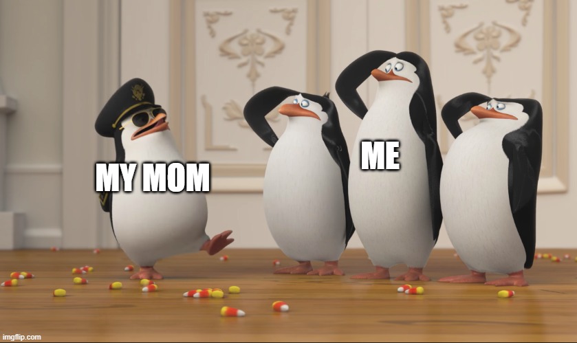 Saluting skipper | MY MOM ME | image tagged in saluting skipper | made w/ Imgflip meme maker