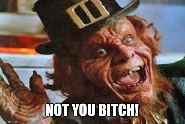 evil laughing Leprechaun | NOT YOU BITCH! | image tagged in evil laughing leprechaun | made w/ Imgflip meme maker