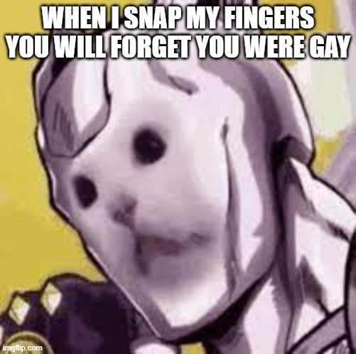 Killer cat | WHEN I SNAP MY FINGERS YOU WILL FORGET YOU WERE GAY | image tagged in killer cat | made w/ Imgflip meme maker