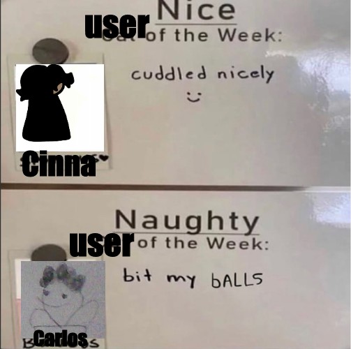 Nice and Naughty user of the week Blank Meme Template