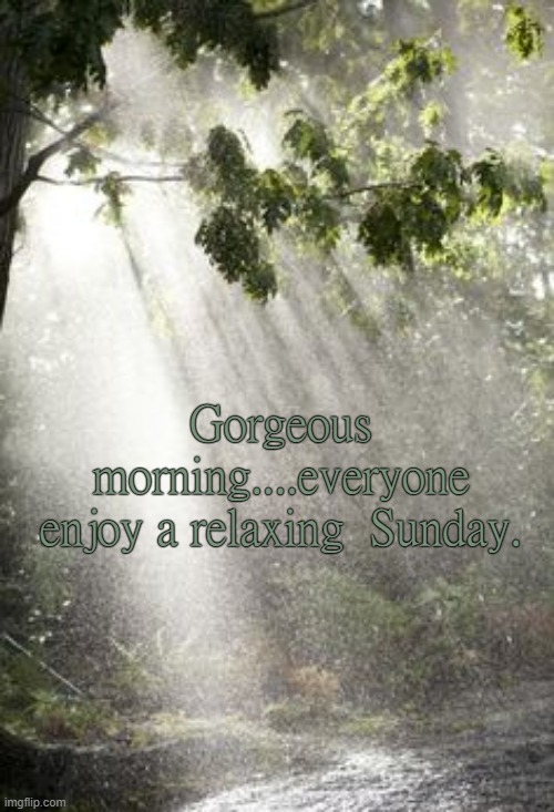 Gorgeous morning....everyone enjoy a relaxing  Sunday. | made w/ Imgflip meme maker