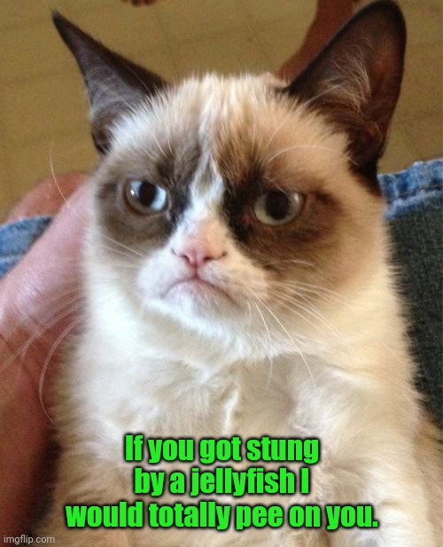 I'm here to help. | If you got stung by a jellyfish I would totally pee on you. | image tagged in memes,grumpy cat,funny | made w/ Imgflip meme maker