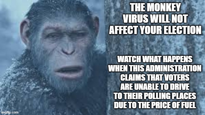 Apes | THE MONKEY VIRUS WILL NOT AFFECT YOUR ELECTION; WATCH WHAT HAPPENS WHEN THIS ADMINISTRATION CLAIMS THAT VOTERS ARE UNABLE TO DRIVE TO THEIR POLLING PLACES DUE TO THE PRICE OF FUEL | image tagged in planet of the apes | made w/ Imgflip meme maker