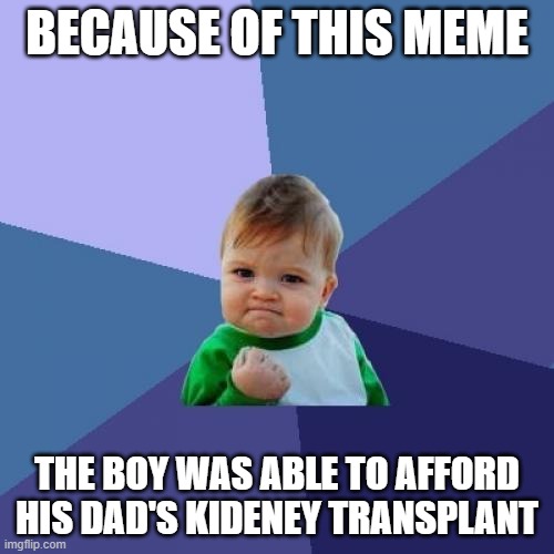 wholesome meme | BECAUSE OF THIS MEME; THE BOY WAS ABLE TO AFFORD HIS DAD'S KIDENEY TRANSPLANT | image tagged in memes,success kid | made w/ Imgflip meme maker