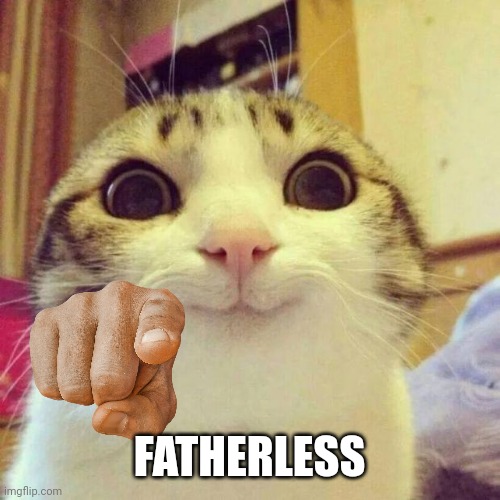 Smiling Cat Meme | FATHERLESS | image tagged in memes,smiling cat | made w/ Imgflip meme maker