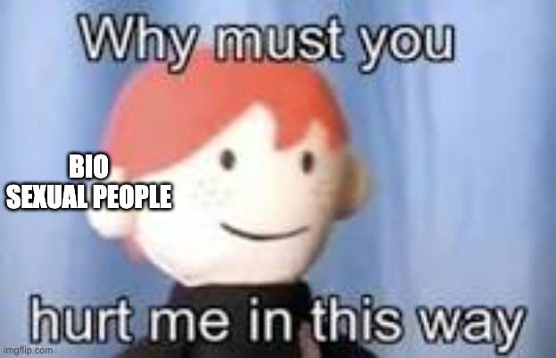 Why must you hurt me in this way | BIO SEXUAL PEOPLE | image tagged in why must you hurt me in this way | made w/ Imgflip meme maker