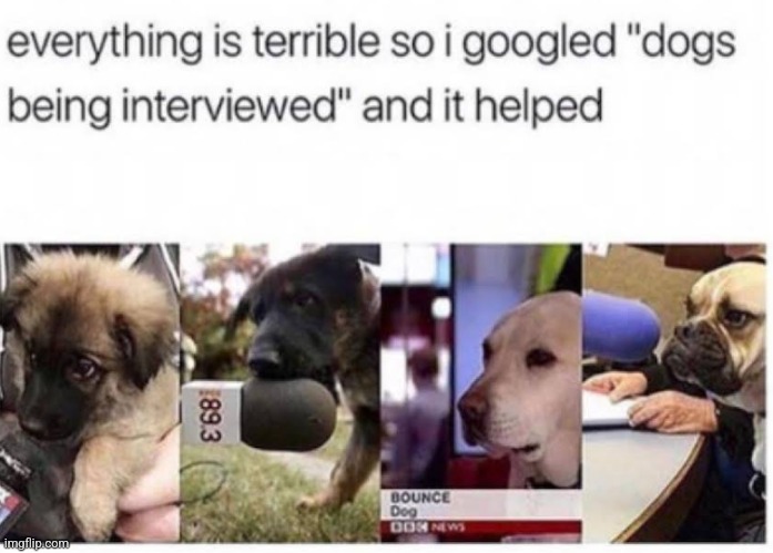 image tagged in funny memes | made w/ Imgflip meme maker