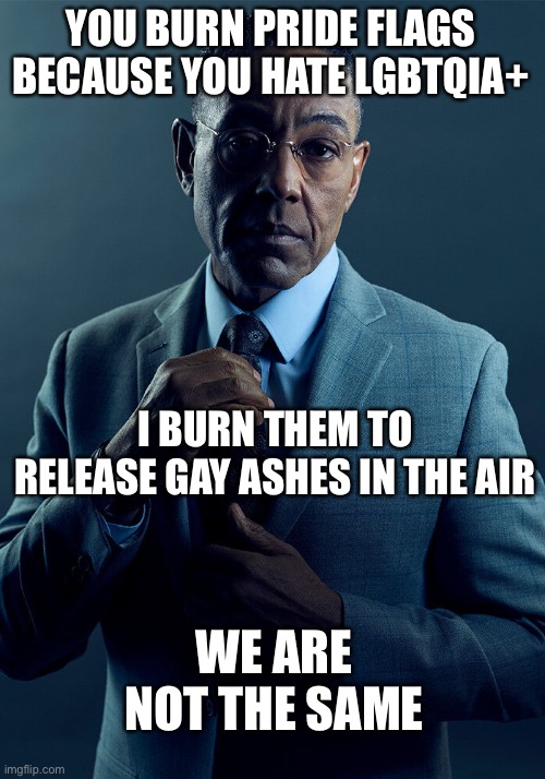 Gay ashes | YOU BURN PRIDE FLAGS BECAUSE YOU HATE LGBTQIA+; I BURN THEM TO RELEASE GAY ASHES IN THE AIR; WE ARE NOT THE SAME | image tagged in gus fring we are not the same | made w/ Imgflip meme maker