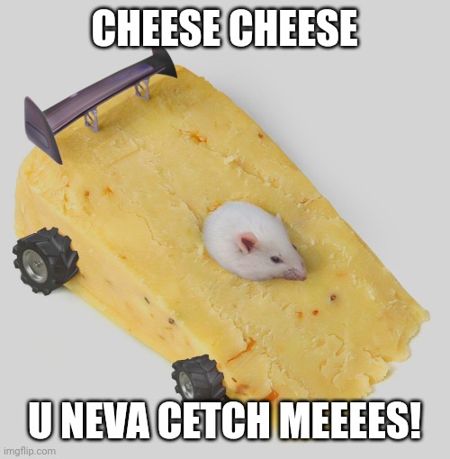 CHEESE CHEESE; U NEVA CETCH MEEEES! | image tagged in cheese,mouse,wheels,spoiler | made w/ Imgflip meme maker
